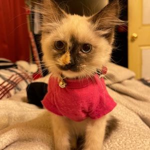 Meet your Posher, Yesenia